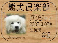 �I�[�i�[�́A�ă}�}����ł���